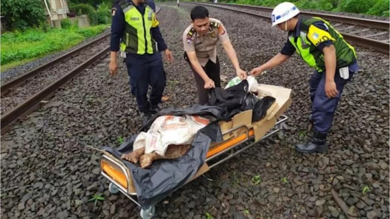 Detik-Detik ABG Nekat Tiduran di Stasiun Cikarang Hingga Tewas Dilindas Kereta