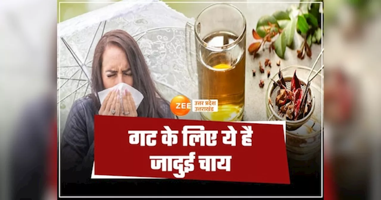 Gut Health For Monsoon: ​बरसात में इंफेक्शन से बचाएगी ये जादुई चाय, गट फ्रेंडली ड्रिंक आजमाकर देंखें!