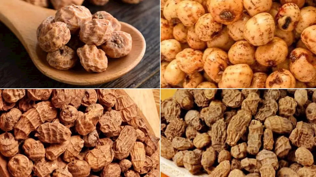 Tiger Nuts Are Healthier Than Almonds And Walnuts: Check Hidden Benefits Of This Dry Fruit