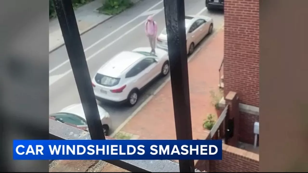 Vandalism suspect stomps on cars, smashes windshields in Center City