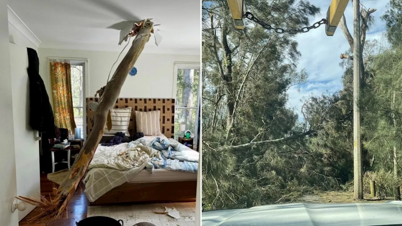 Thousands without power as strong winds, severe weather hit southeastern NSW