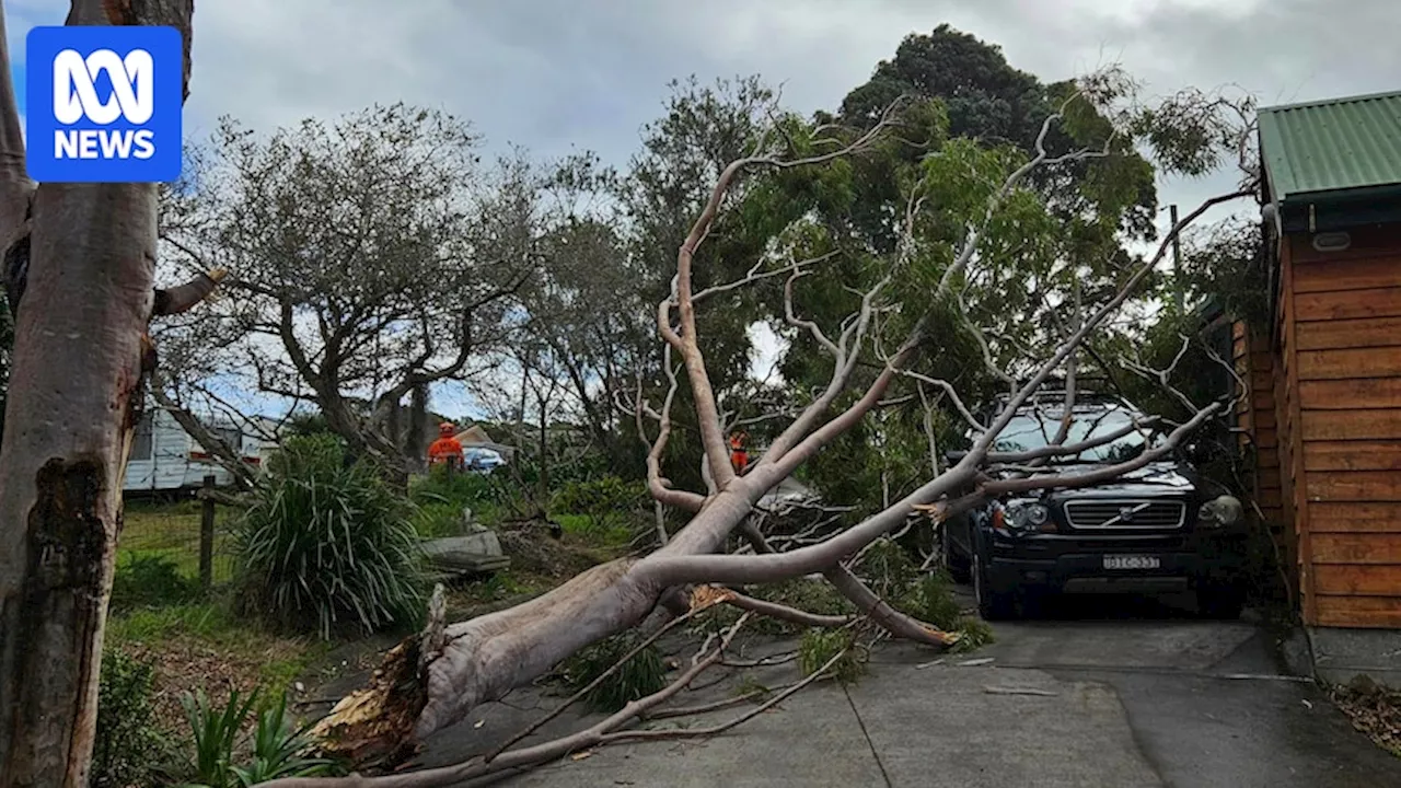 Severe weather warning as strong winds uproot trees and damage homes across south-eastern Australia