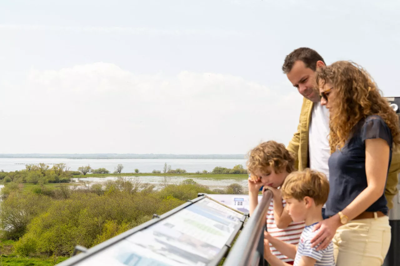 Loire-Atlantique : où voir le lac de Grand Lieu en été ?