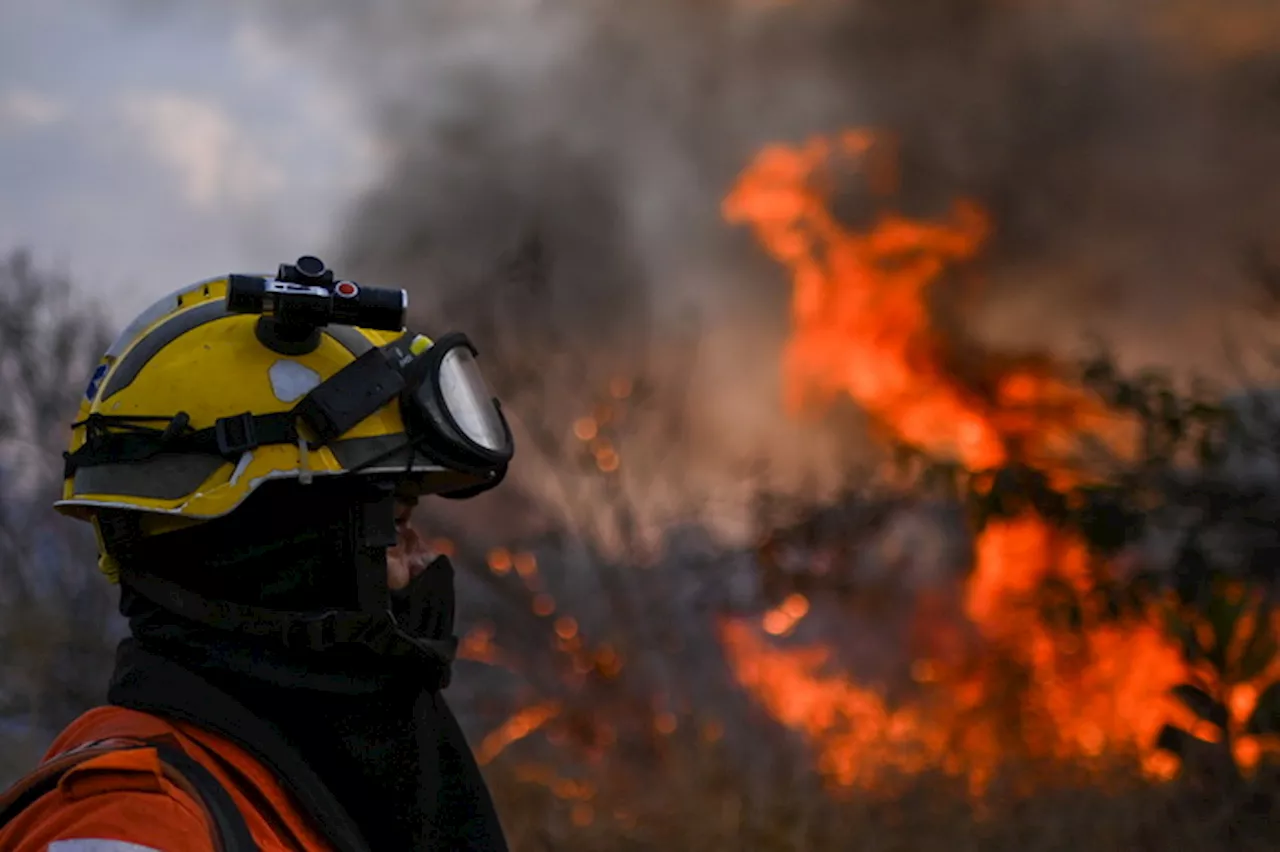 Un vigile del fuoco all'opera durante un incendio in Brasile