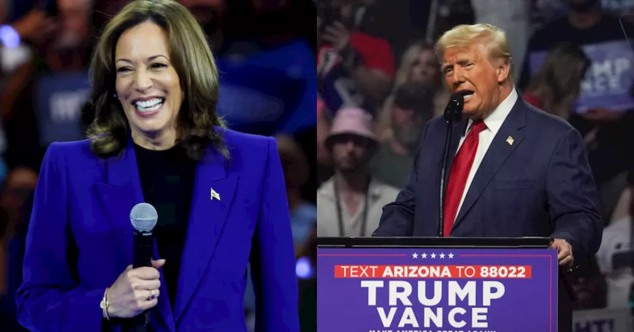 Donald Trump's edge over Kamala Harris slips on economy, crime, Reuters/Ipsos poll finds