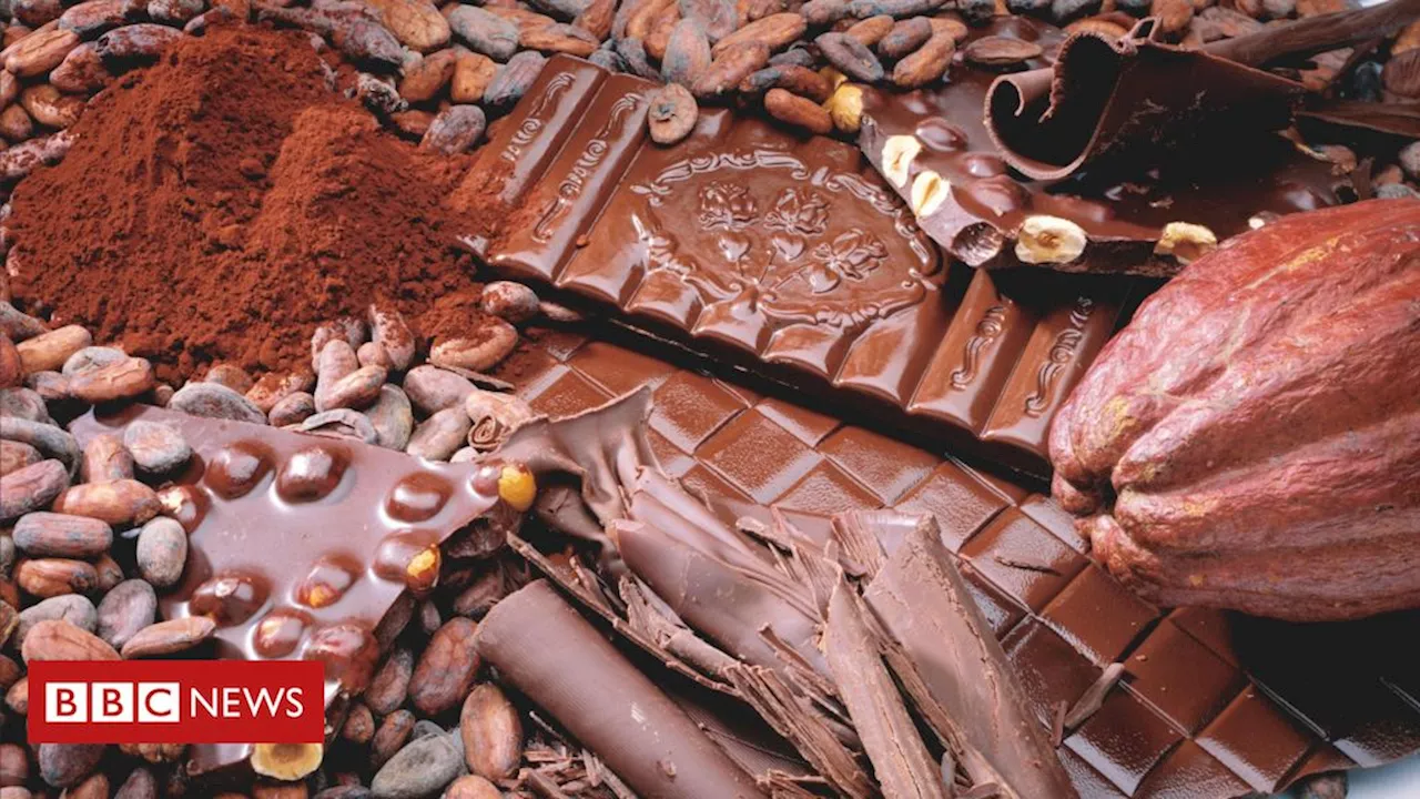 Produção de chocolate: a descoberta suíça que promete revolucionar produção com cacau inteiro e sem açúcar