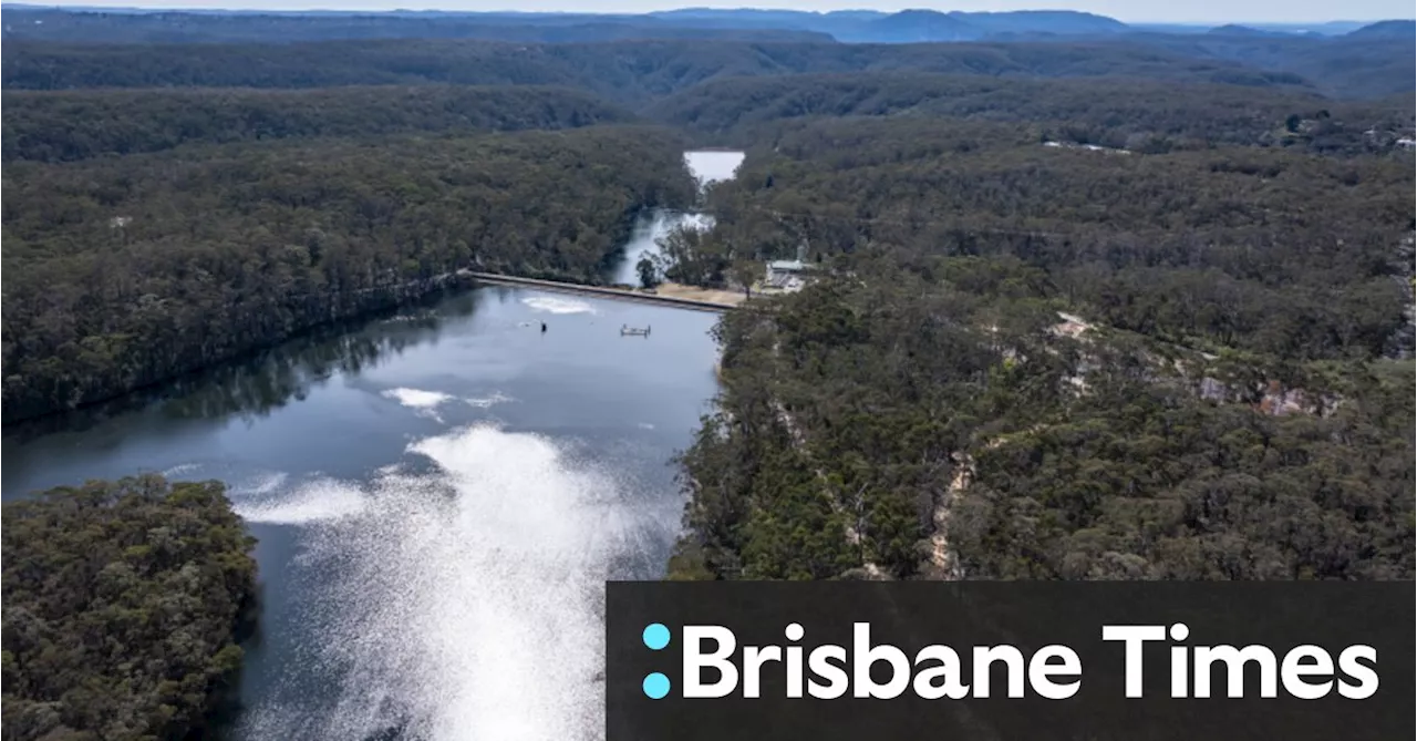 Blue Mountains dam shut after discovery of cancer-linked forever chemicals