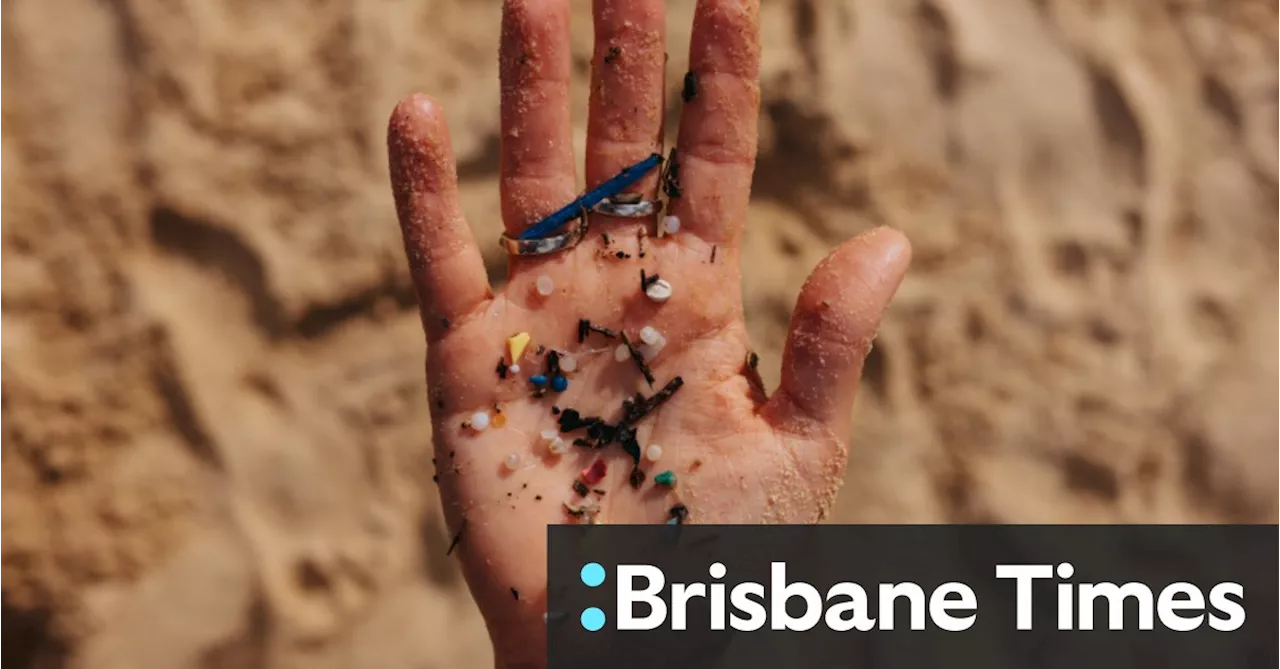 ‘Insidious pollutant’: The microplastic hotspots in Sydney Harbour revealed