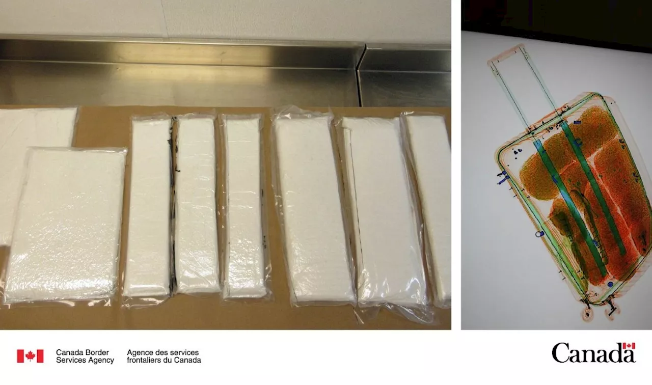 Border agents at YVR uncover $1.25M worth of drugs in suitcases destined for Australia