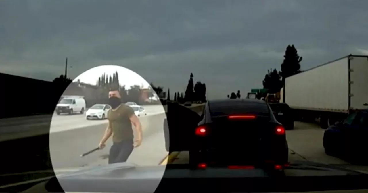 Man serving prison time for Tesla road rage attacks is released ahead of 5-year sentence