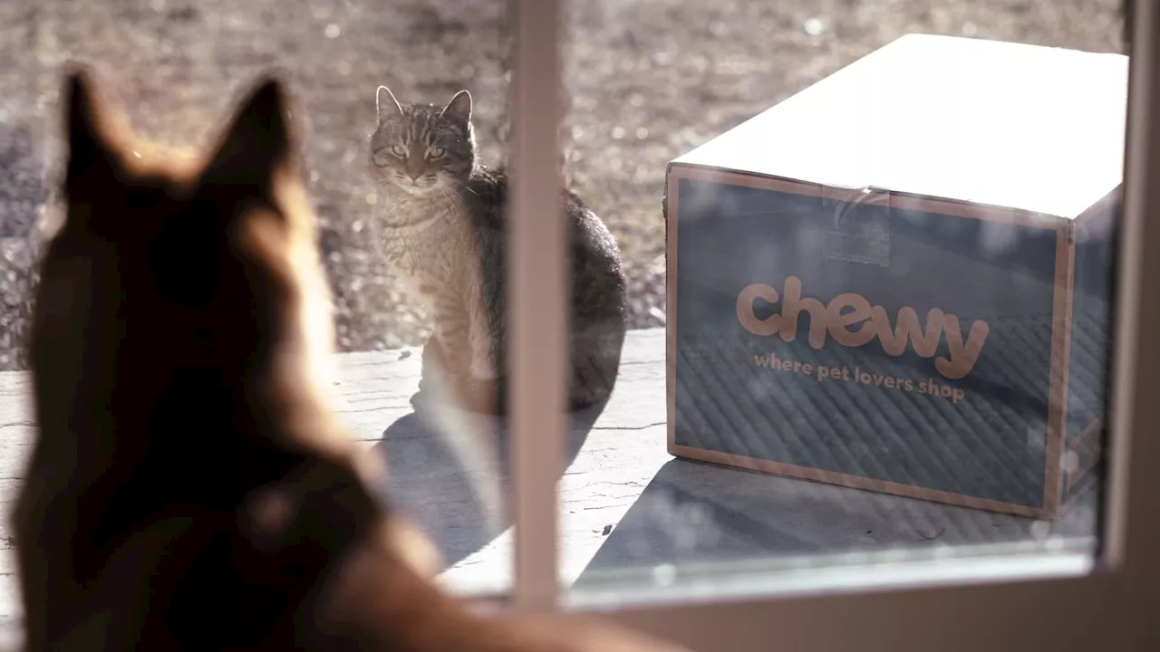 Jim Cramer sees more gains ahead for Chewy — but says don't chase this retail stock