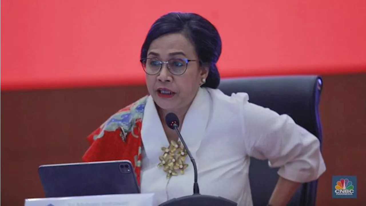 Heboh Sri Mulyani Jadi Korban Catut Akun Palsu, Ramai di TikTok