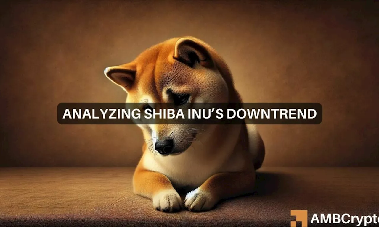 Shiba Inu price dips: Here are key levels to watch for a bullish reversal