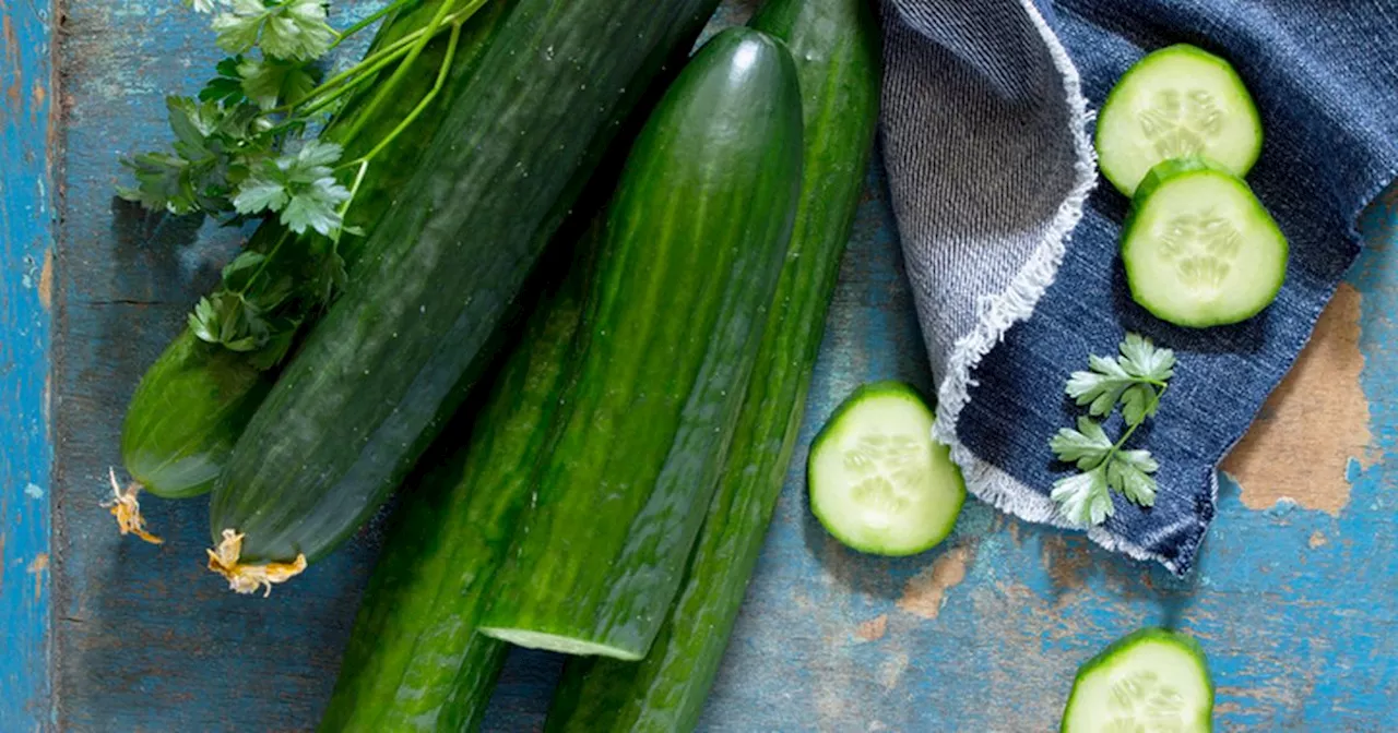 this is why you need TikTok's cucumber salad recipe'