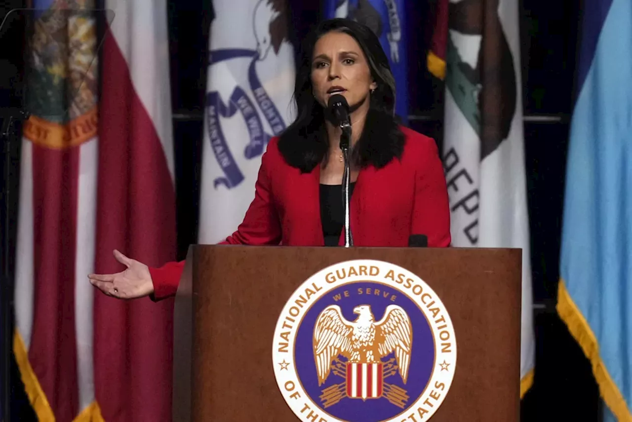 Tulsi Gabbard blasts ‘champion of freedom’ Kamala Harris for her administration’s record of censorship