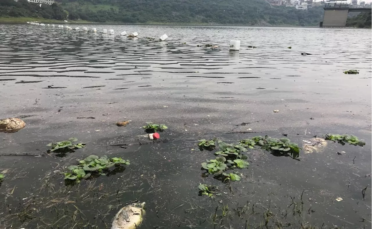 Comisión de Cuenca Presa Madín: Urge protección para la presa ante grave contaminación y degradación ambiental