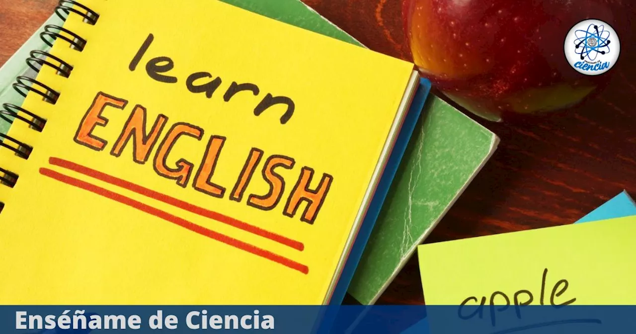 Universidad Politécnica de Valencia lanzó cursos virtuales para aprender INGLÉS, ¡100% GRATUITOS!