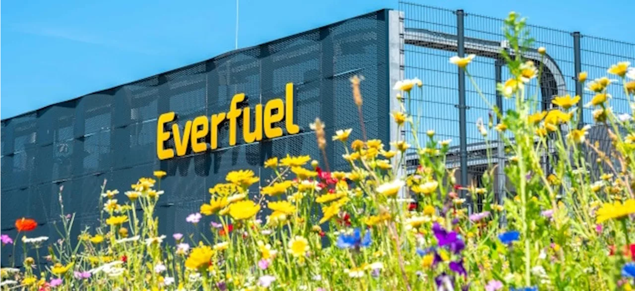 Ehemalige NEL ASA-Tochter sorgt für Sensation: Everfuel-Aktie schießt nach Übernahmeangebot durch die Decke