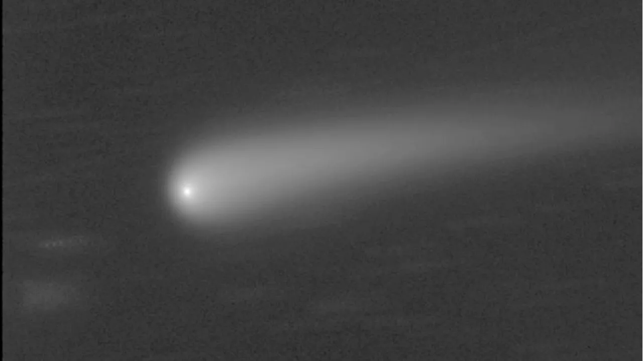 A Naked-Eye Comet Is Alive And Well, Scientists Say — When To See It