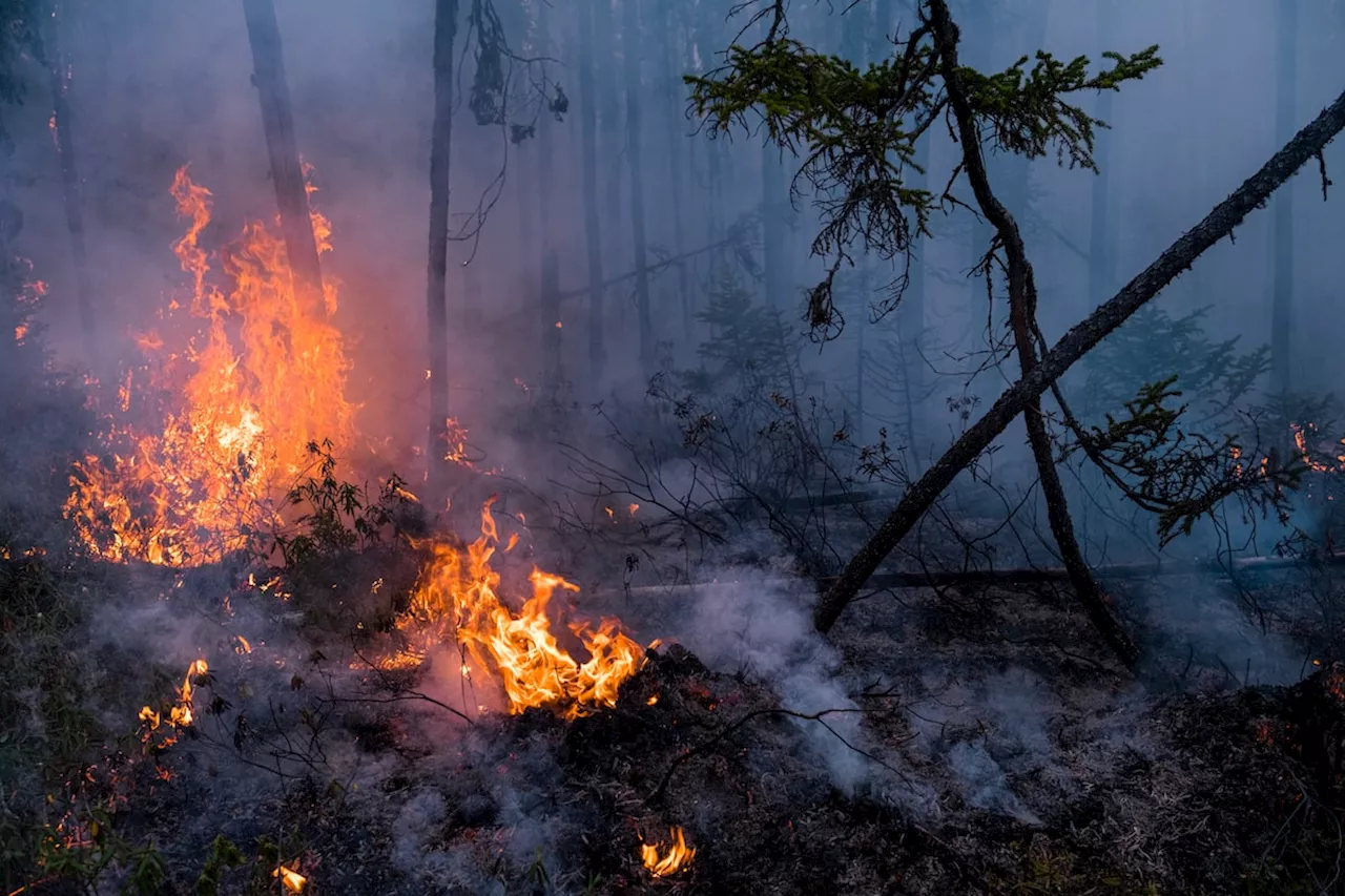 Canada’s wildfires were a top global emitter last year, research shows