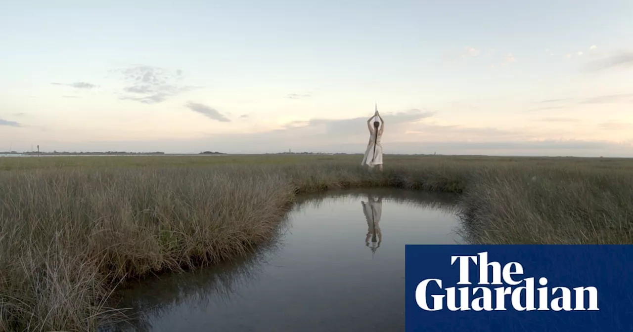 ‘The last wild places’: the Venice show about Earth’s spiralling salt marsh crisis