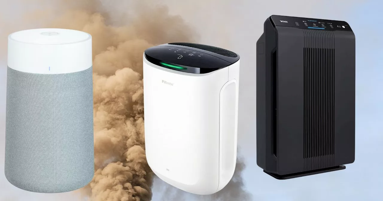 People With Asthma And Allergies Share The Air Purifiers That 'Actually Make A Difference'