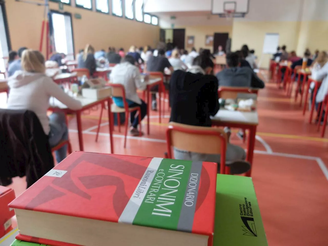 Ius Scholae, Azione 'sfida' FI: cittadini dopo 10 anni di scuola