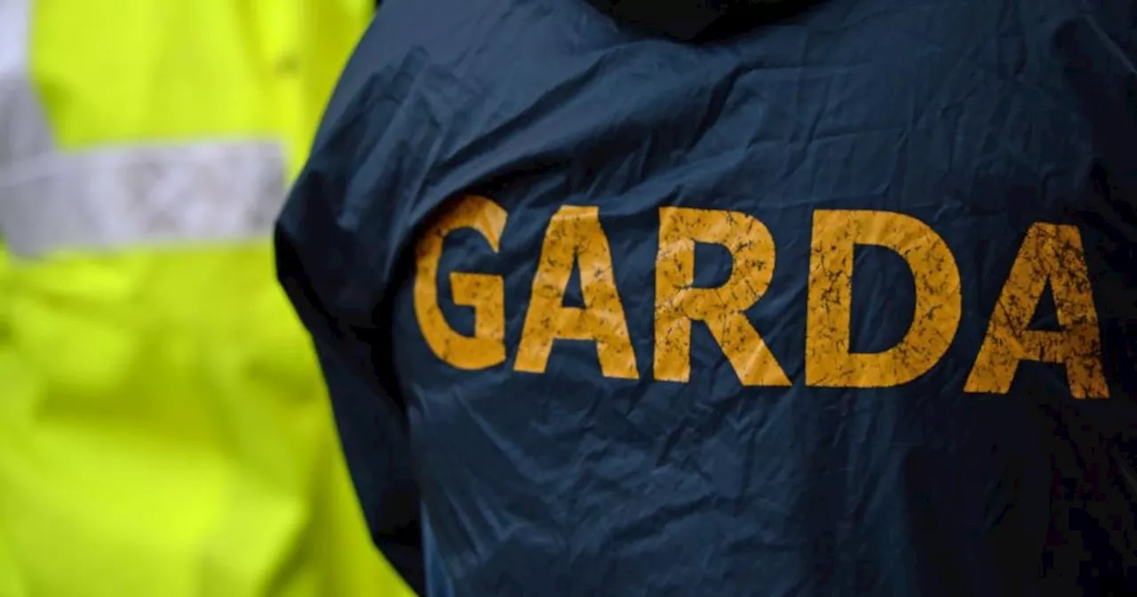 Woman charged over death of man found on road in north Co Dublin