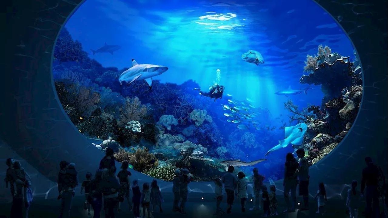 Seattle Aquarium's Ocean Pavilion, showcasing largest reef ecosystem, set to open