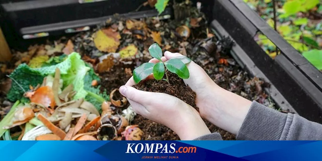 Jangan Dibuang, 5 Sisa Makanan Ini Bisa Menyuburkan Tanaman