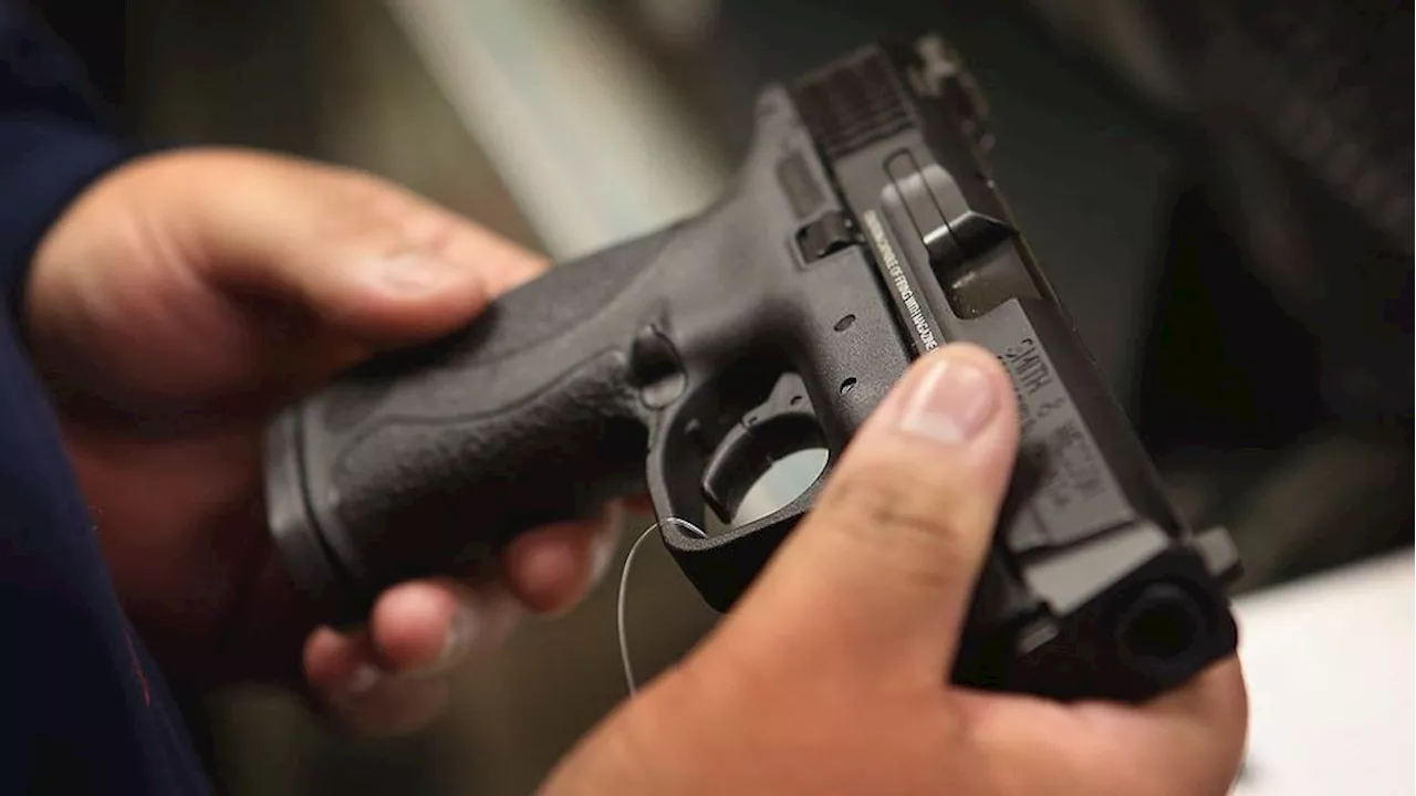 Appeals court affirms federal law banning noncitizens from having guns: 'Common sense'