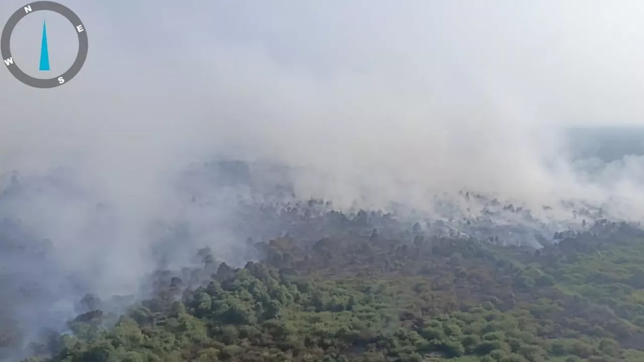 Dampak Kabut Asap Karhutla, Kualitas Udara di Jambi Tidak Sehat