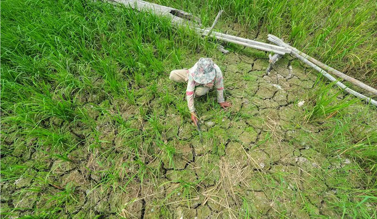 23 Ribu Lebih Warga Banyumas Krisis Air Bersih