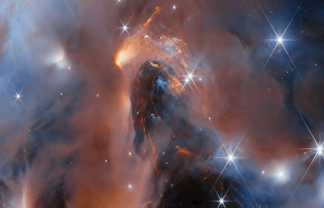 Astronom Temukan Enam Dunia Nakal di Nebula NGC 1333 dengan Teleskop James Webb