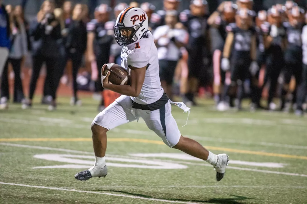 Bay Area News Group high school football predictions: Week 1, 2024