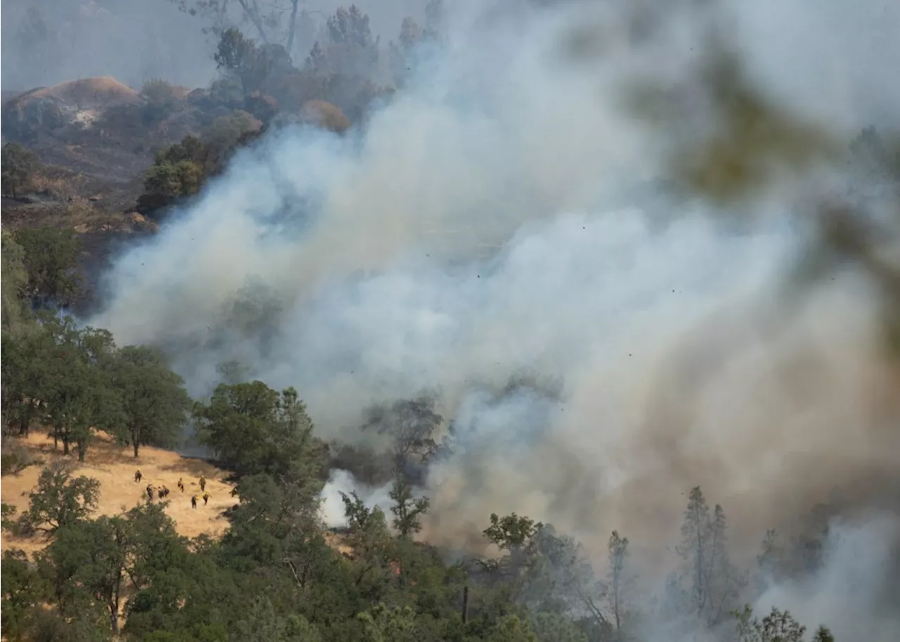 Man accused of starting Northern California wildfire by throwing firework out car window