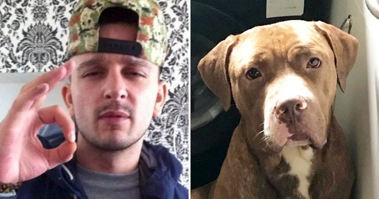 Family pays tribute to man killed by two XL bully dogs in Birmingham