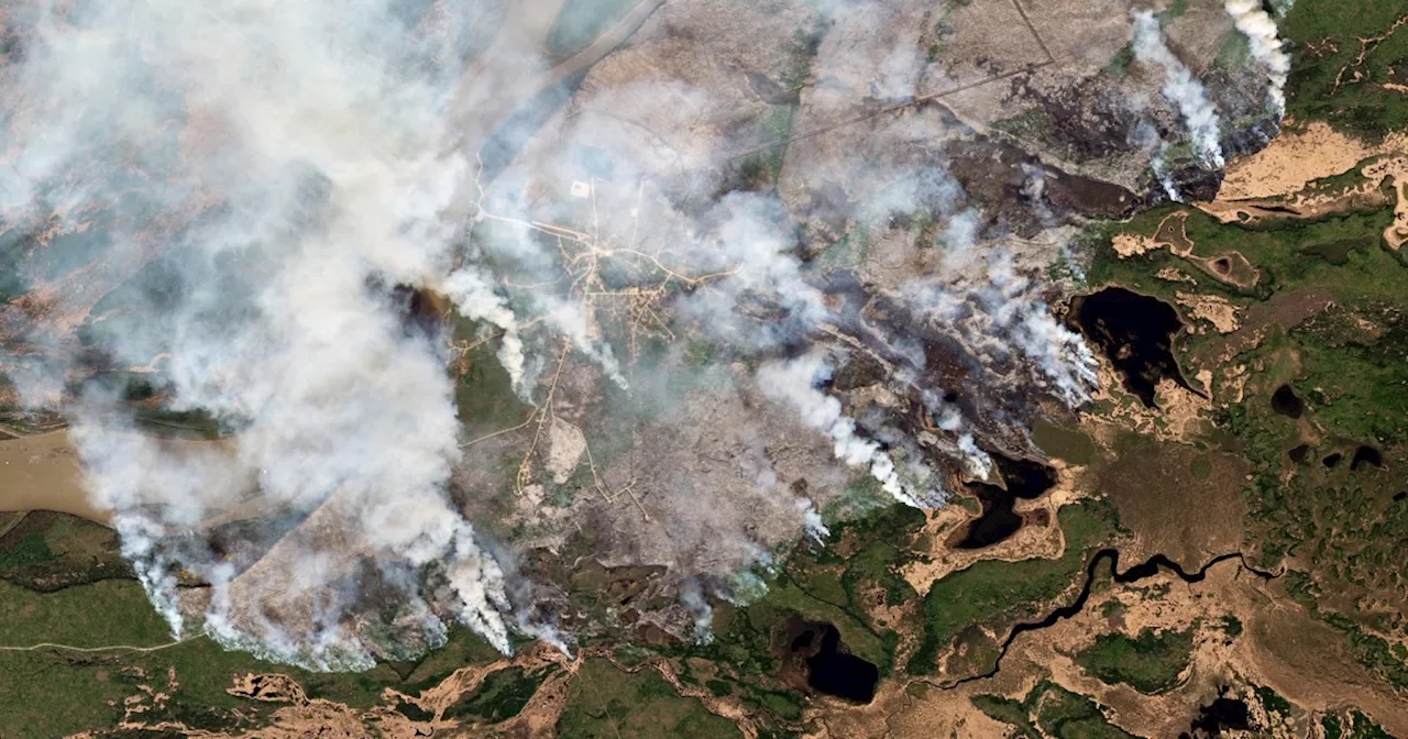 Canada wildfires emitted more carbon than most countries last year