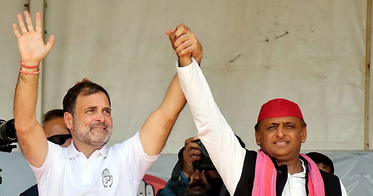 Haryana Assembly Election 2024: तो क्या हरियाणा में राहुल गांधी सपा को सीटें दे कर बढ़ाएंगे अखिलेश यादव की ...