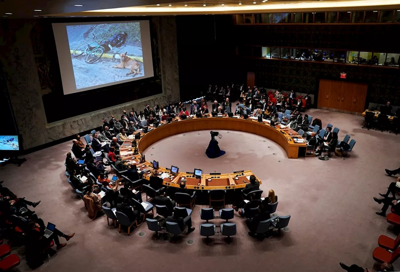 Africa's permanent seat on the UN Security Council is more relevant now than ever