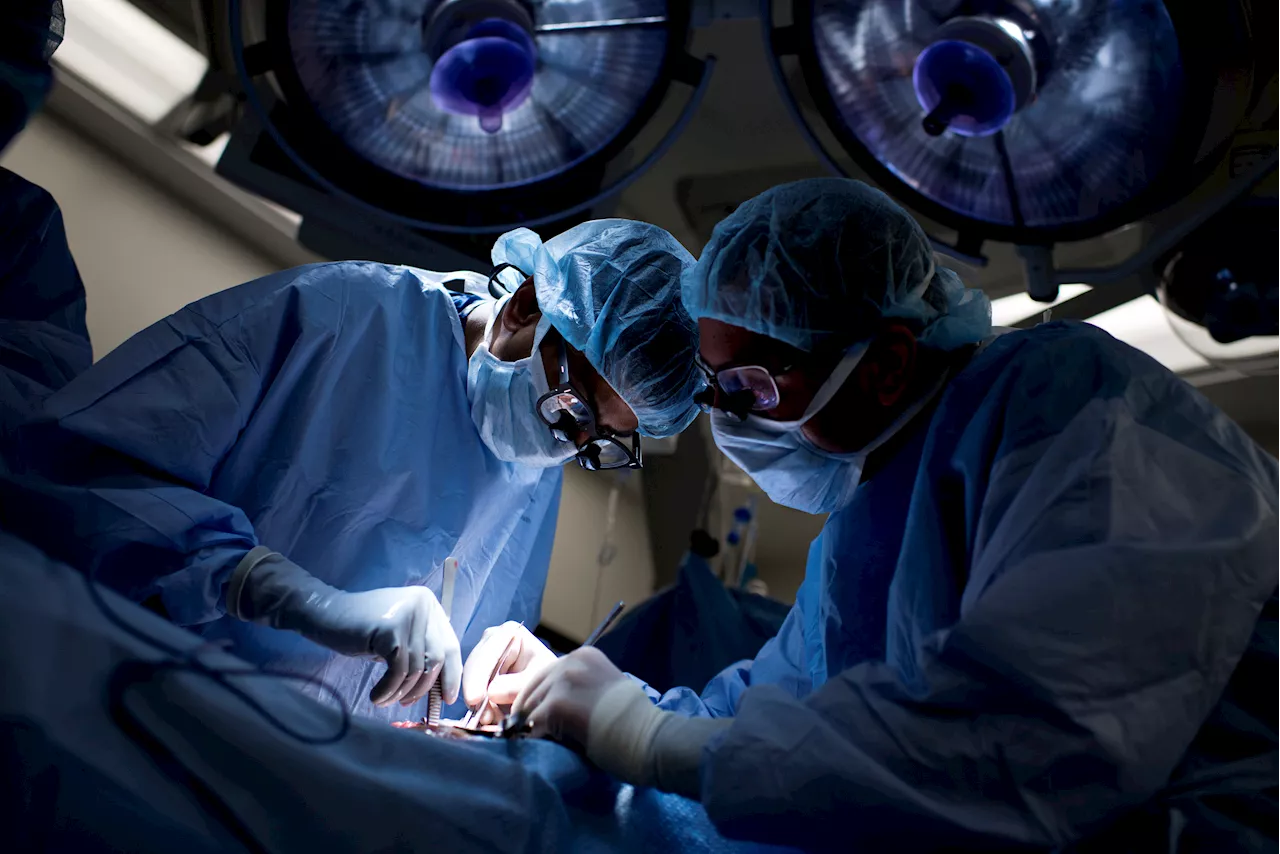 Kidney Donations Safer Than Previously Thought: Study