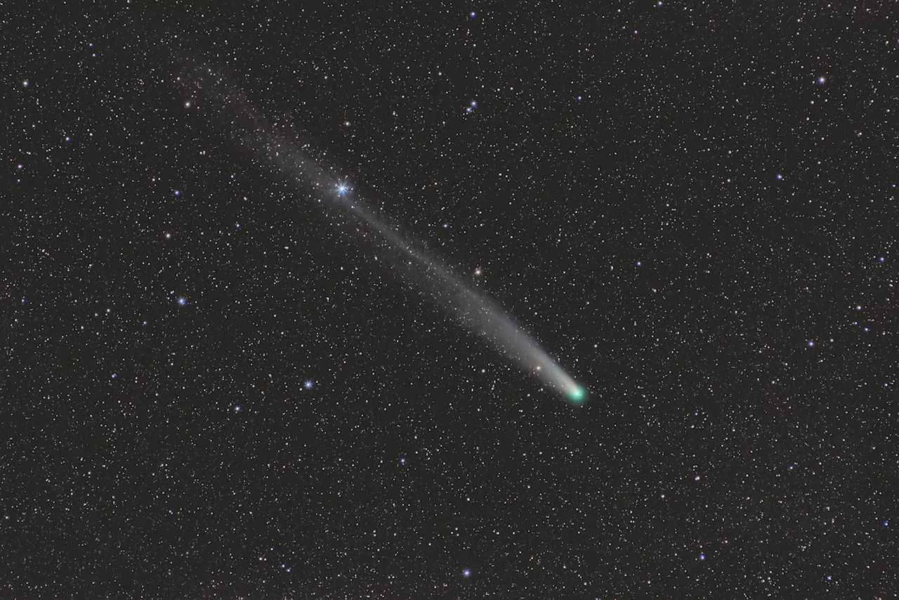 NASA Reveals Doomed Comet Survived—May Become Visible to the Naked Eye