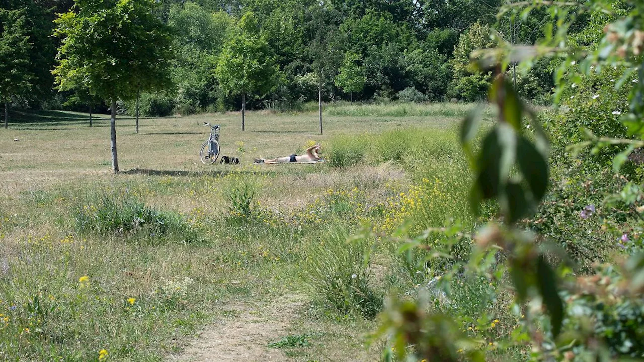 Rheinland-Pfalz & Saarland: Bis zu 34 Grad - Hitze in Rheinland-Pfalz und im Saarland