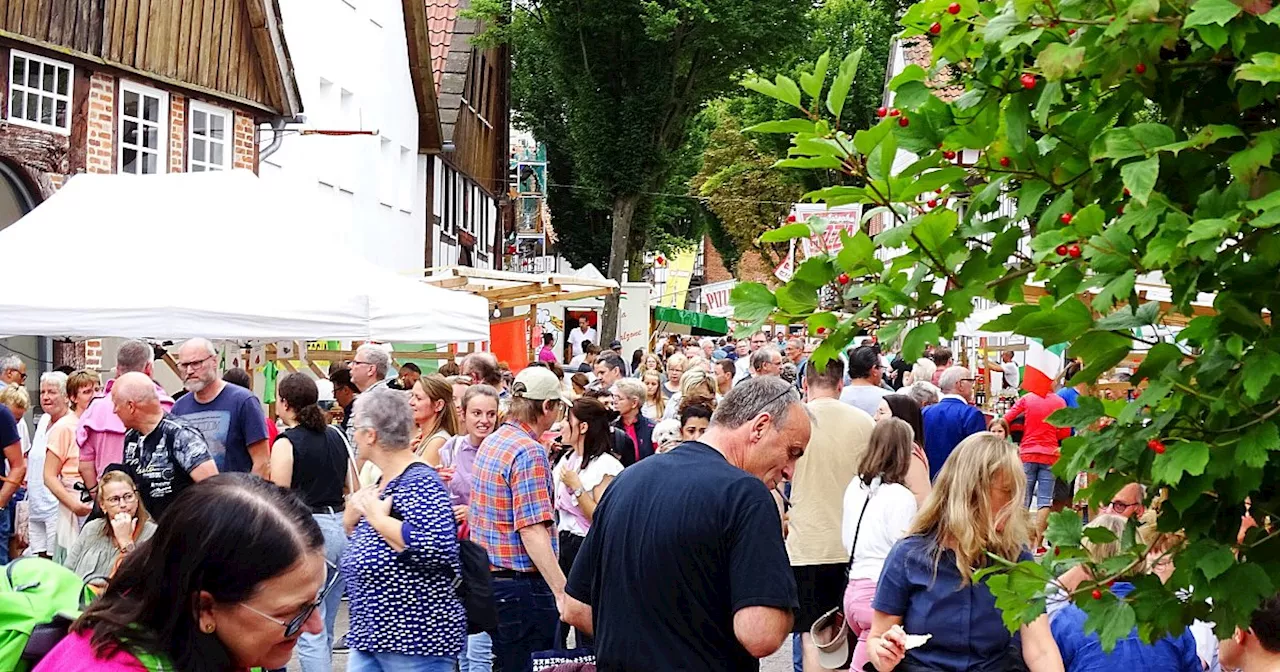 Wochenendtipps im Kreis Höxter: Käsemarkt, Kunstfest und Schwimmen in der Weser