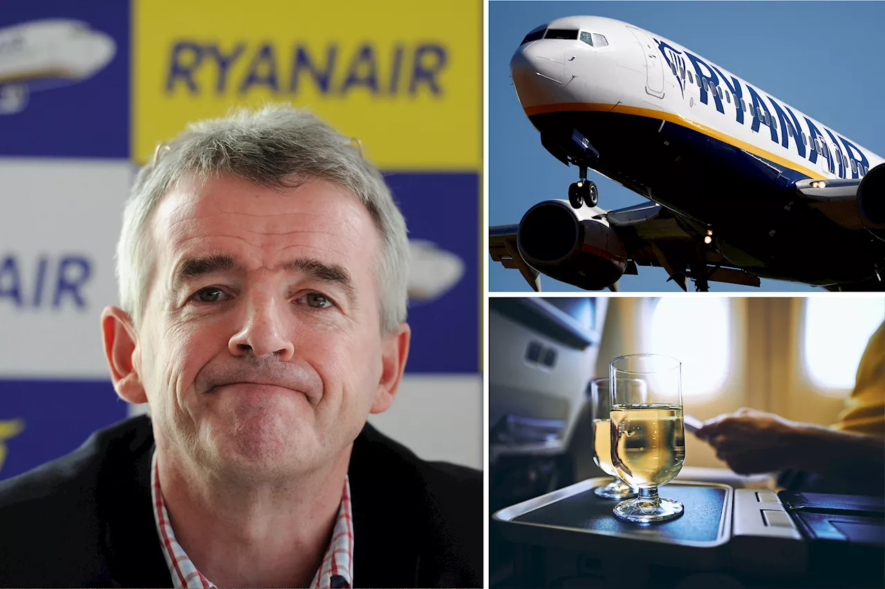 Airline CEO wants airports to put alcoholic drink limit on flyers to nix on-board disruptions