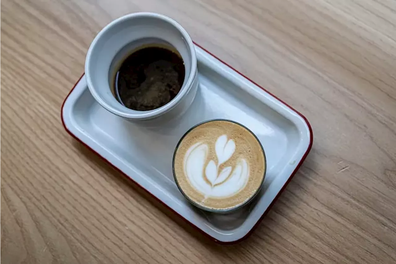 We found some great cups of coffee
