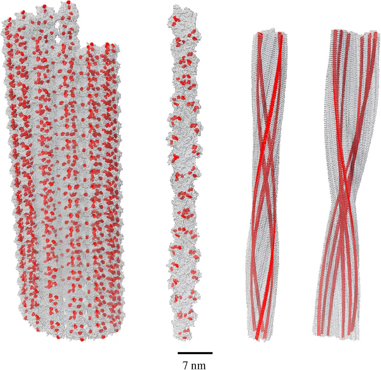 Quantum optical phenomenon in the brain challenges conventional view of amyloid in Alzheimer's