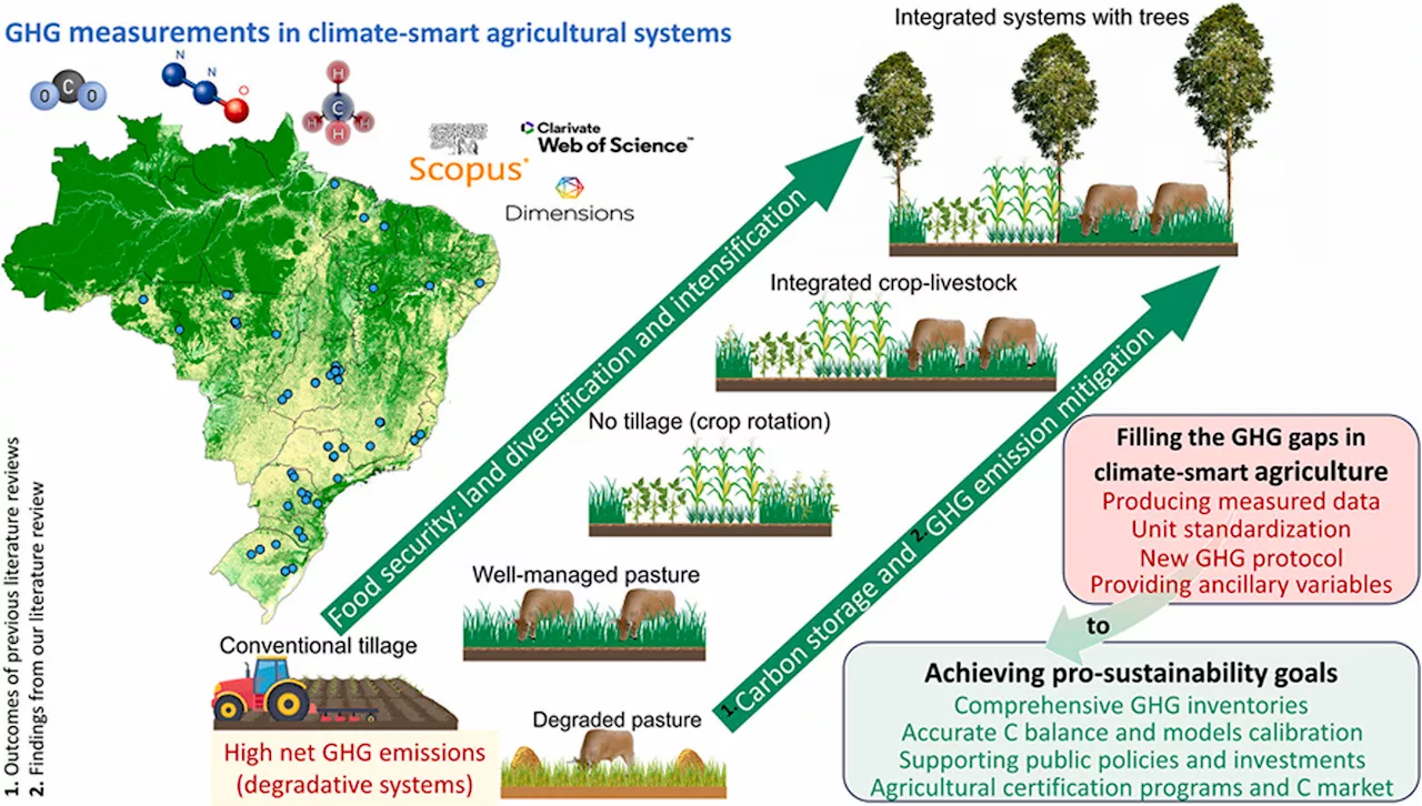 Sustainable agricultural systems reduce greenhouse gas emissions, researchers confirm