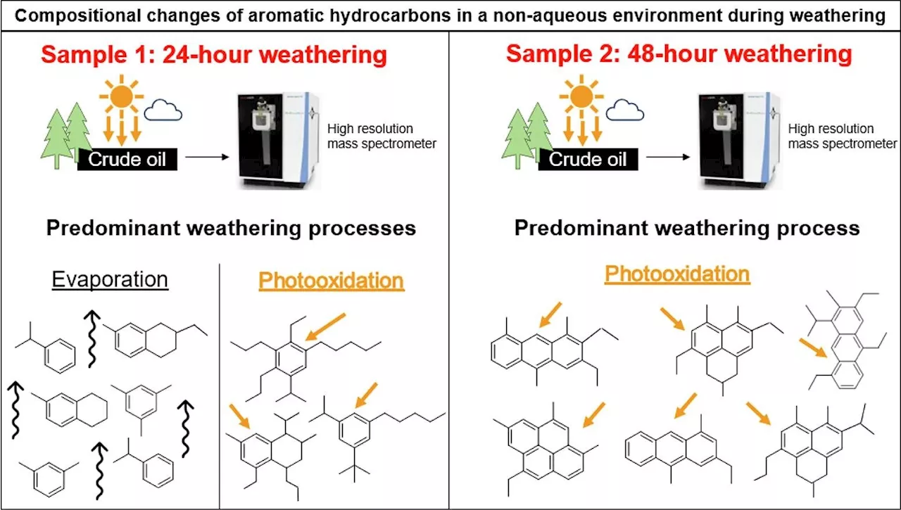 Using high resolution mass spectrometry to study fuel chemistry