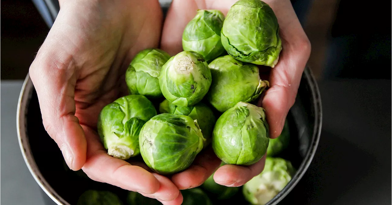 Are Brussels Sprouts Good For You?